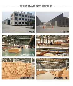 水泥選購指南 品質與用途詳解